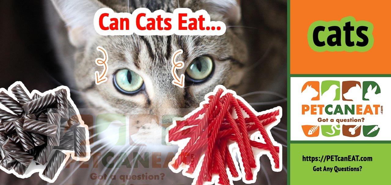 can-cats-eat-twizzlers-licorice-roots-find-out-now-updated