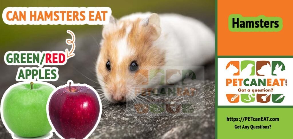can hamsters eat green apples
can hamsters eat red apples