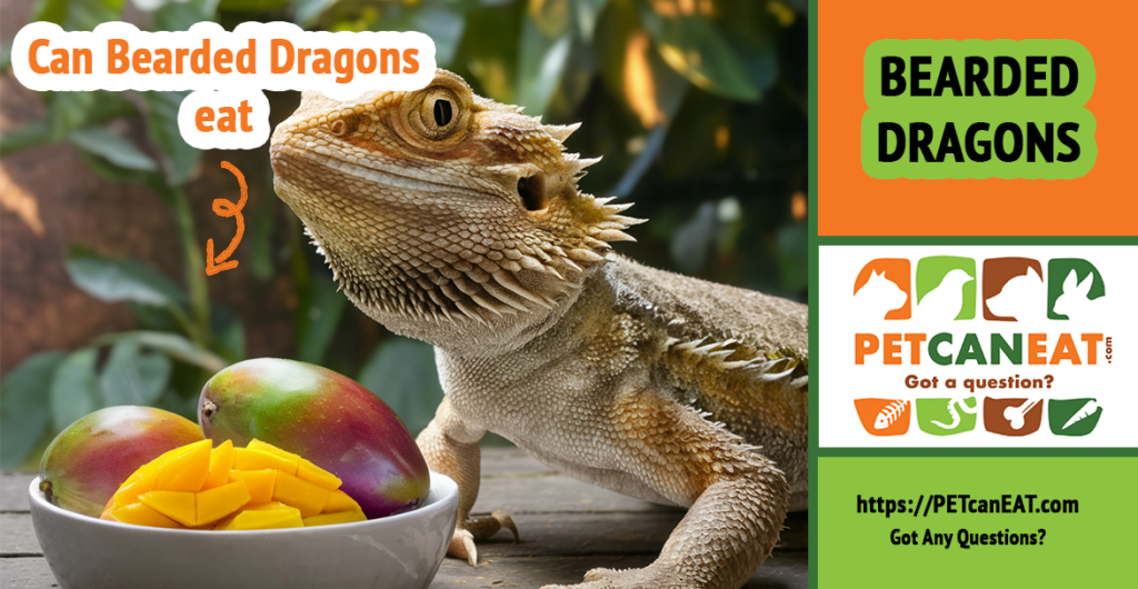 Can Bearded Dragons Eat Mango? Things to Know